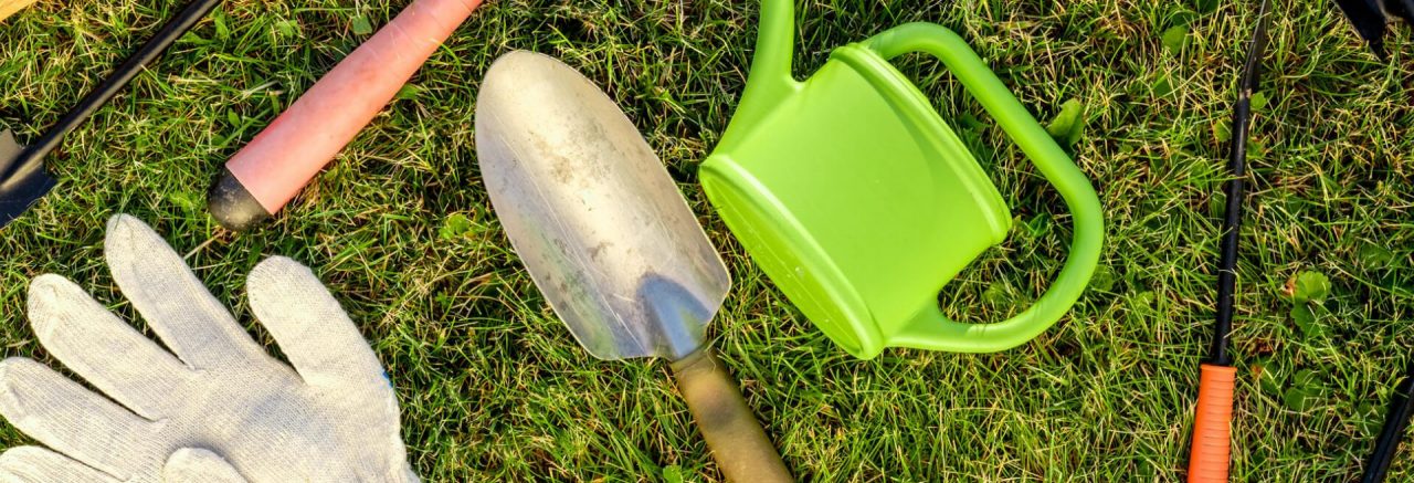 Iulie: Fertilizarea gazonului în perioada de vară