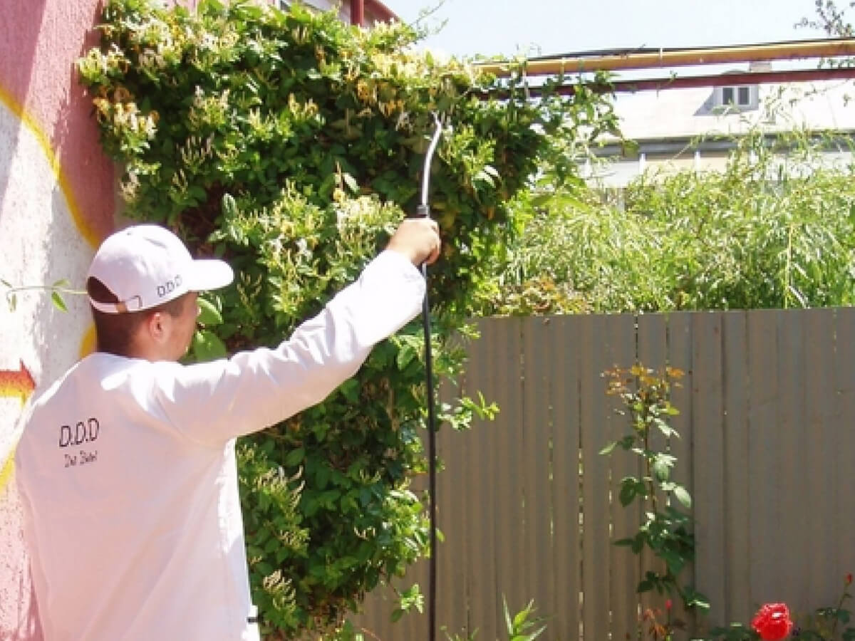 https://aerofm.ro/wp-content/uploads/2021/05/servicii-ddd-handyman-5.jpeg
